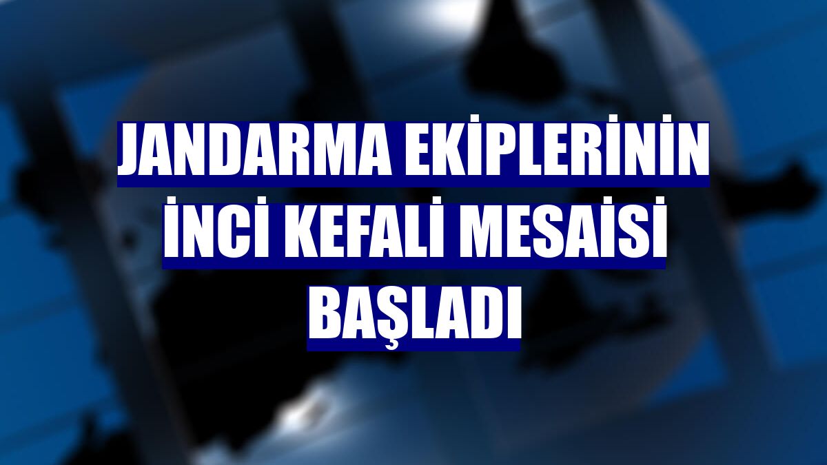 Jandarma ekiplerinin inci kefali mesaisi başladı
