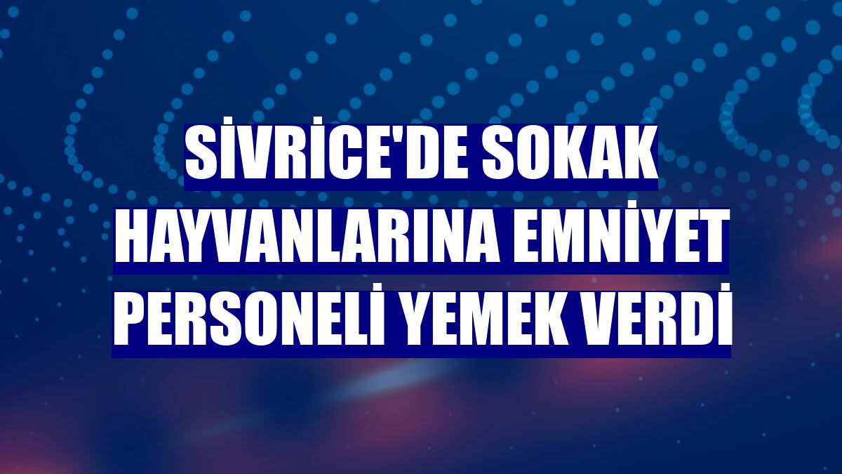 Sivrice'de sokak hayvanlarına Emniyet personeli yemek verdi