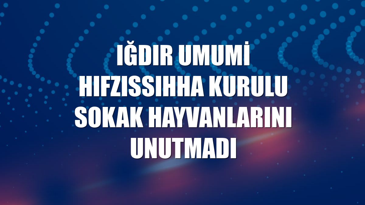 Iğdır Umumi Hıfzıssıhha Kurulu sokak hayvanlarını unutmadı