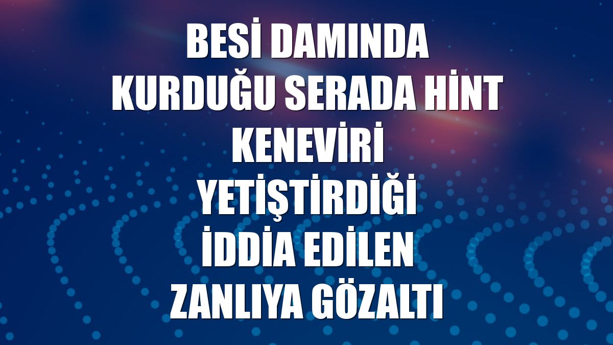 Besi damında kurduğu serada hint keneviri yetiştirdiği iddia edilen zanlıya gözaltı