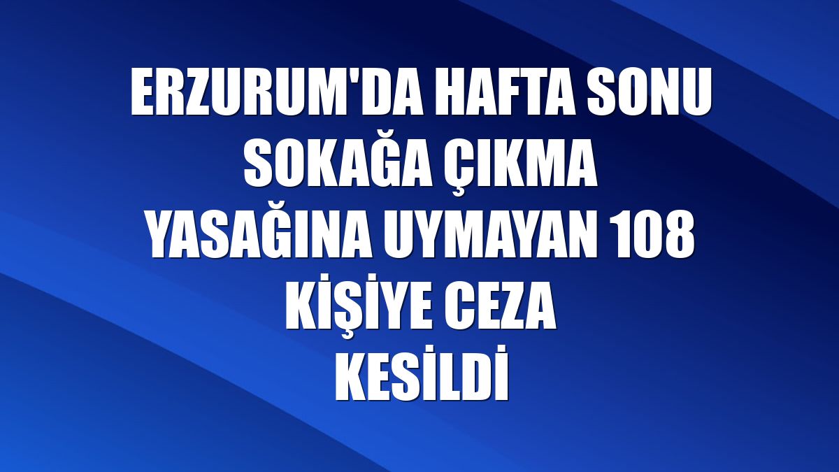 Erzurum'da hafta sonu sokağa çıkma yasağına uymayan 108 kişiye ceza kesildi