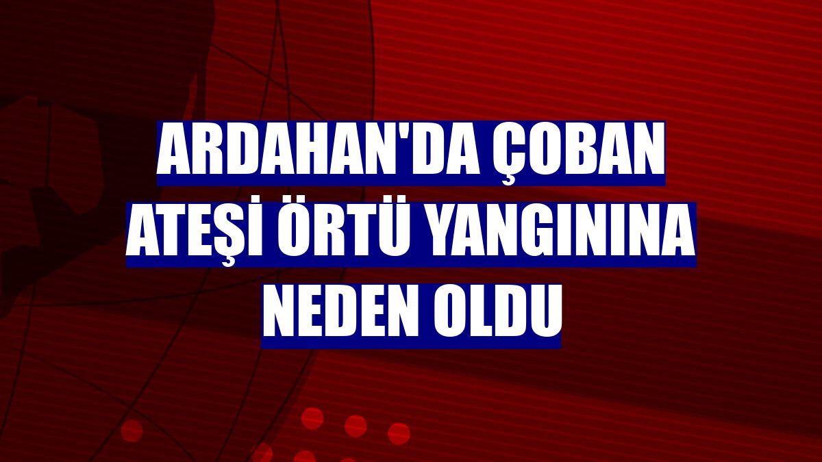 Ardahan'da çoban ateşi örtü yangınına neden oldu