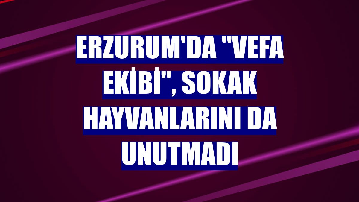 Erzurum'da "Vefa ekibi", sokak hayvanlarını da unutmadı