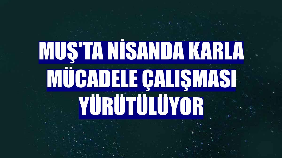 Muş'ta nisanda karla mücadele çalışması yürütülüyor