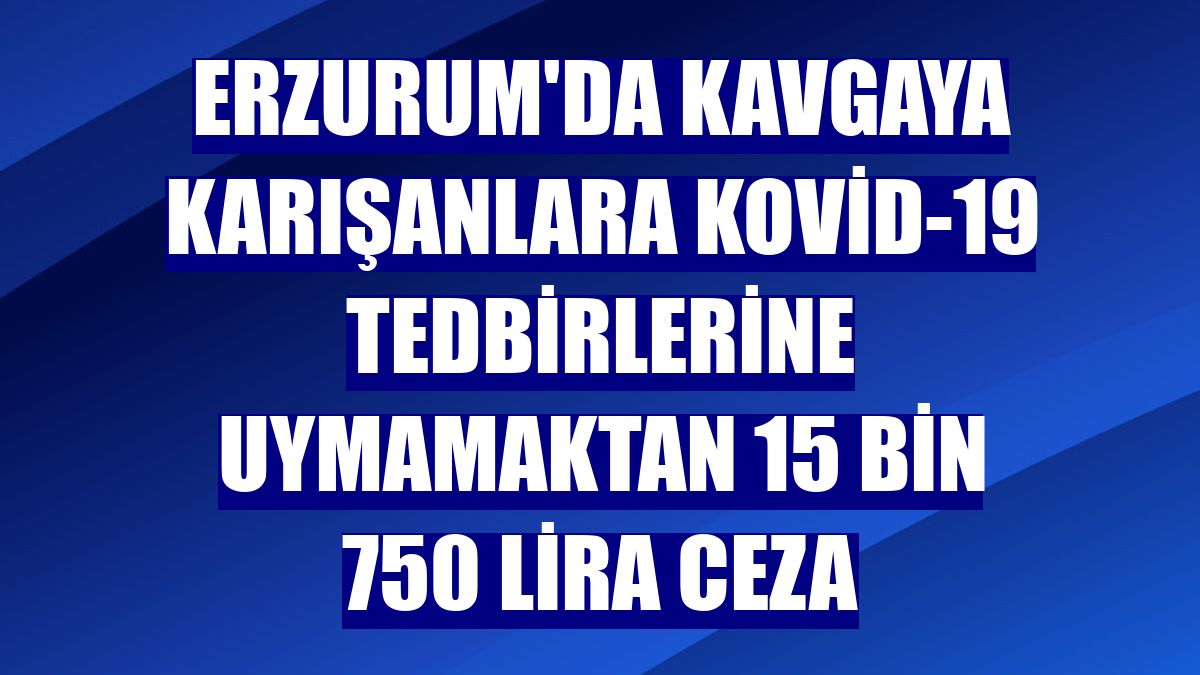 Erzurum'da kavgaya karışanlara Kovid-19 tedbirlerine uymamaktan 15 bin 750 lira ceza