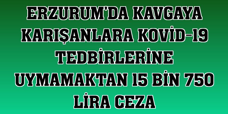 Erzurum'da kavgaya karışanlara Kovid-19 tedbirlerine uymamaktan 15 bin 750 lira ceza