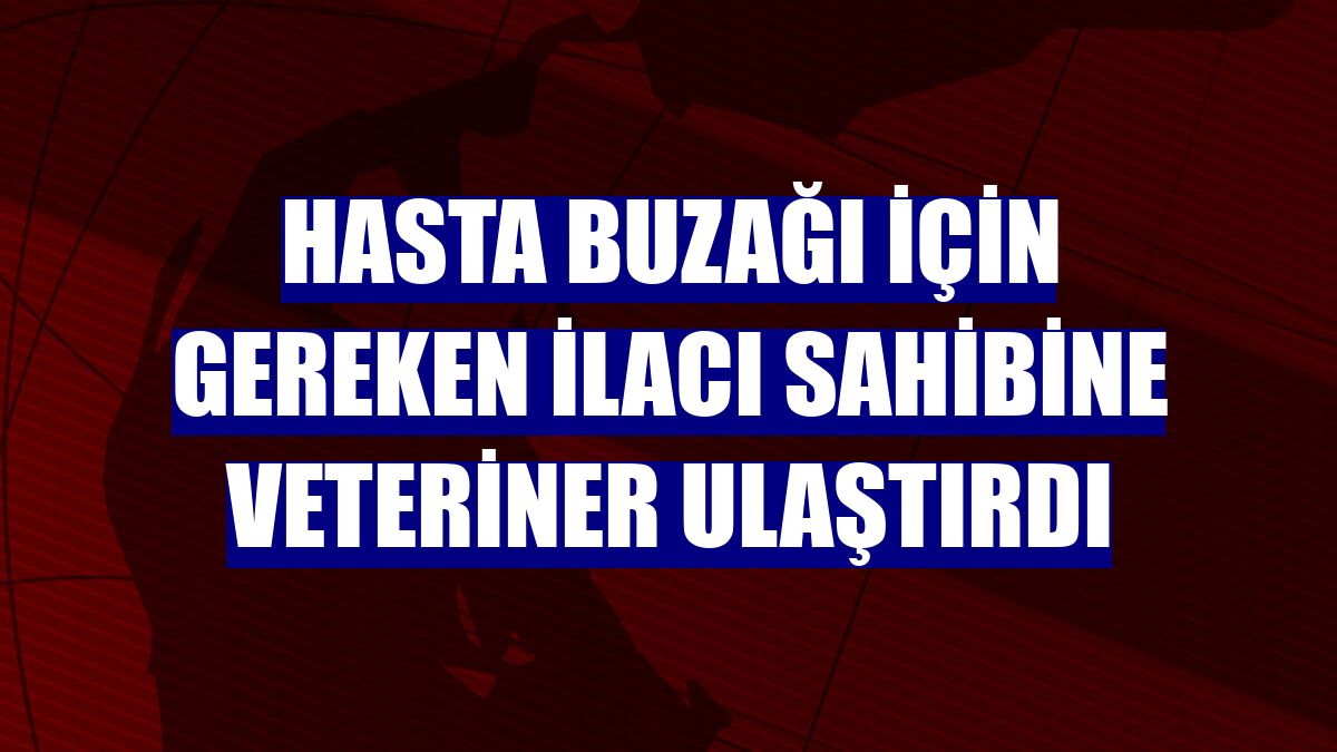 Hasta buzağı için gereken ilacı sahibine veteriner ulaştırdı