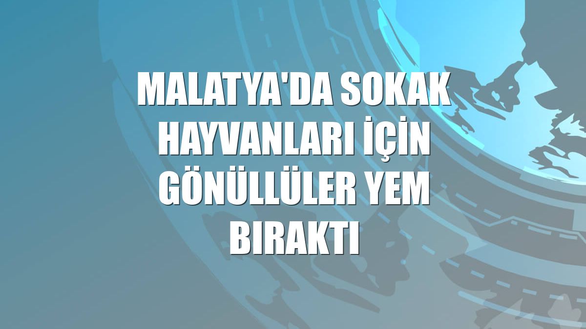 Malatya'da sokak hayvanları için gönüllüler yem bıraktı