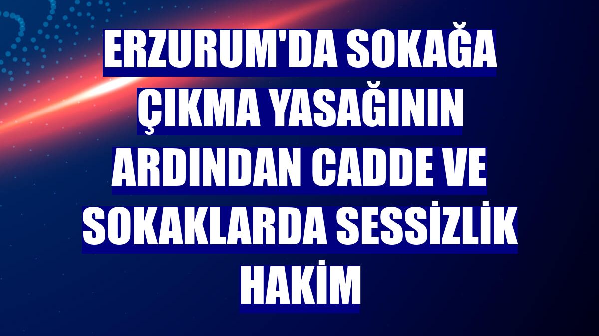 Erzurum'da sokağa çıkma yasağının ardından cadde ve sokaklarda sessizlik hakim