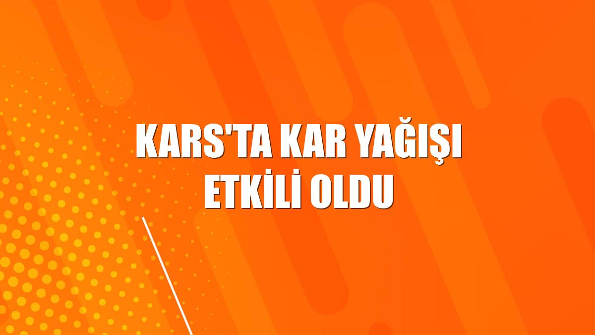 Kars'ta kar yağışı etkili oldu