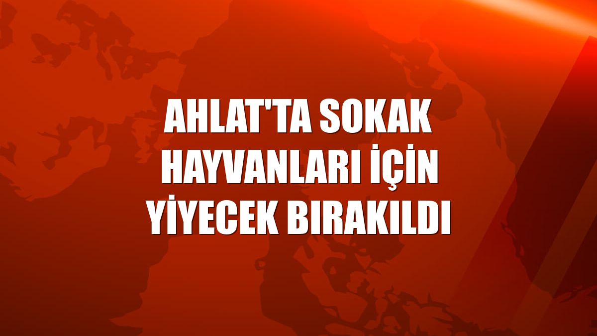 Ahlat'ta sokak hayvanları için yiyecek bırakıldı