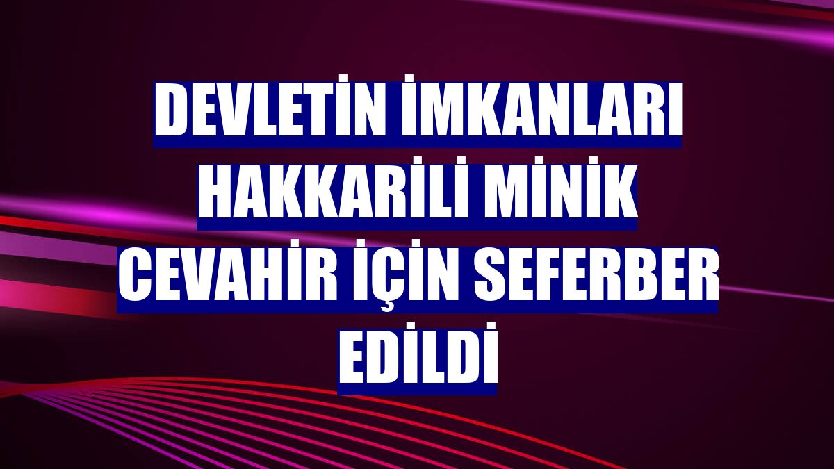 Devletin imkanları Hakkarili minik Cevahir için seferber edildi