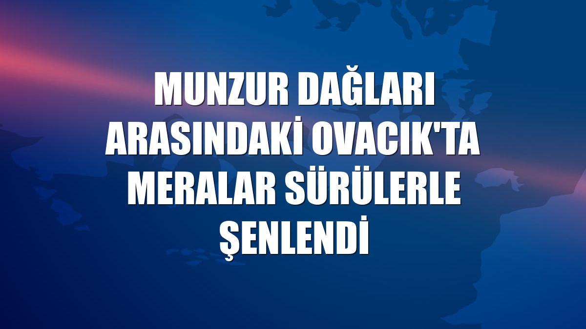 Munzur Dağları arasındaki Ovacık'ta meralar sürülerle şenlendi