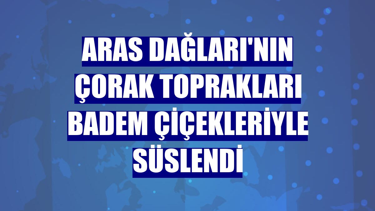 Aras Dağları'nın çorak toprakları badem çiçekleriyle süslendi