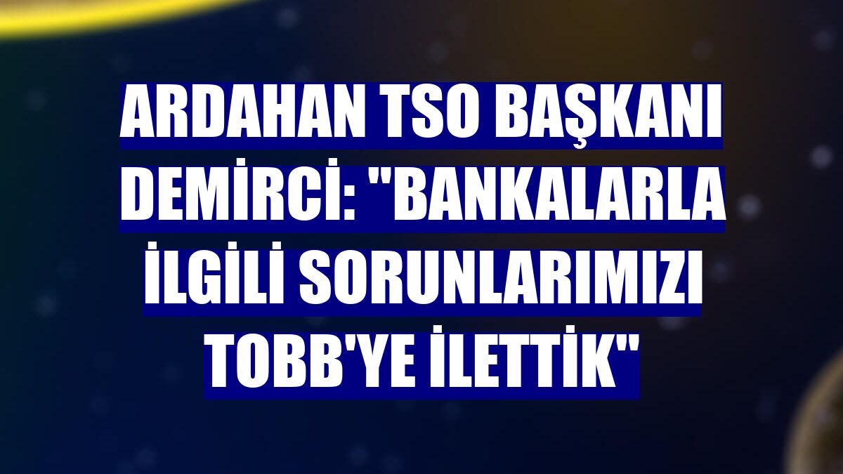 Ardahan TSO Başkanı Demirci: "Bankalarla ilgili sorunlarımızı TOBB'ye ilettik"
