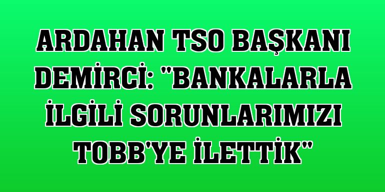 Ardahan TSO Başkanı Demirci: 'Bankalarla ilgili sorunlarımızı TOBB'ye ilettik'