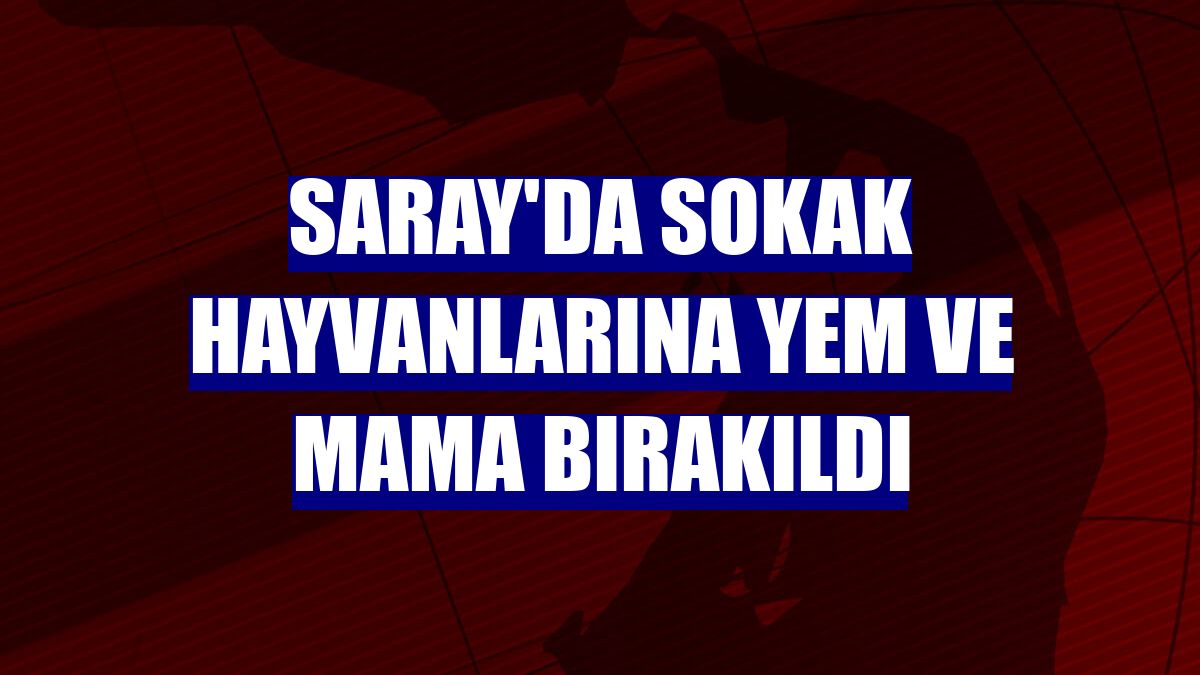 Saray'da sokak hayvanlarına yem ve mama bırakıldı