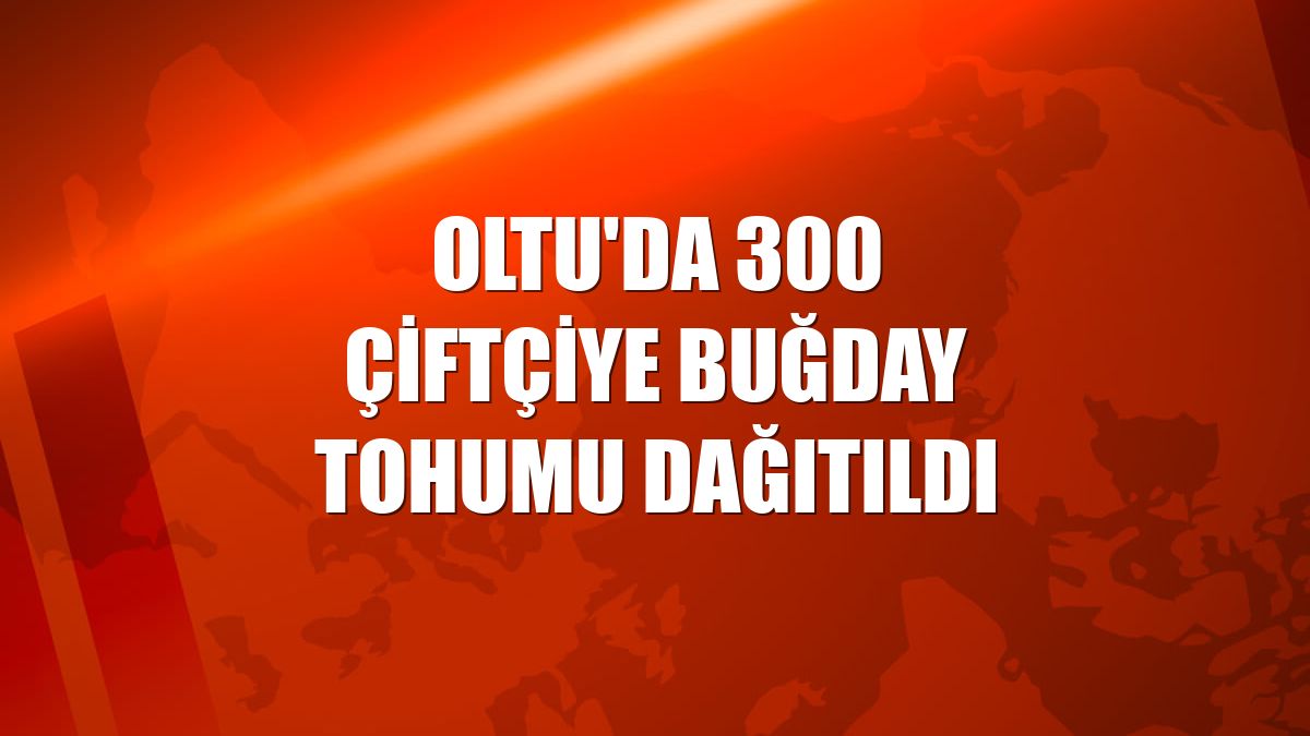 Oltu'da 300 çiftçiye buğday tohumu dağıtıldı