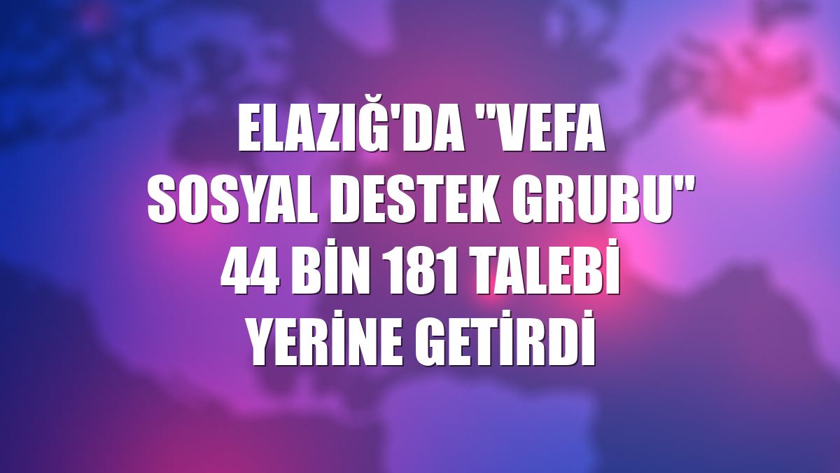 Elazığ'da "Vefa Sosyal Destek Grubu" 44 bin 181 talebi yerine getirdi