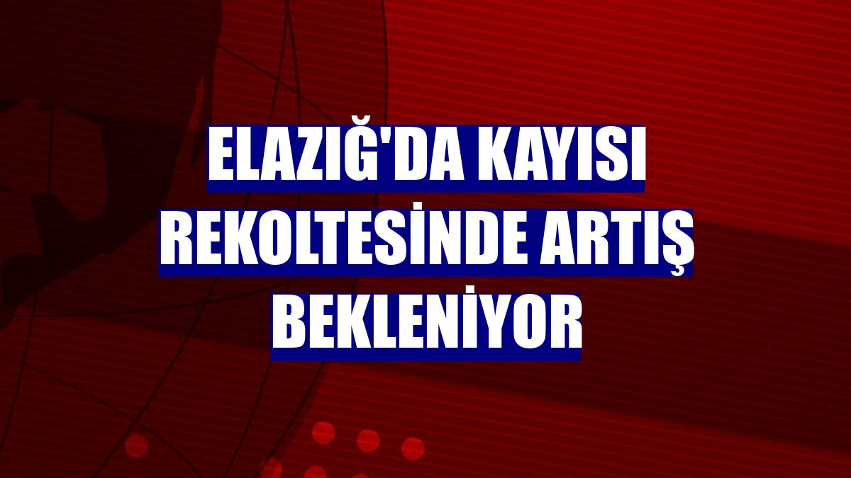 Elazığ'da kayısı rekoltesinde artış bekleniyor