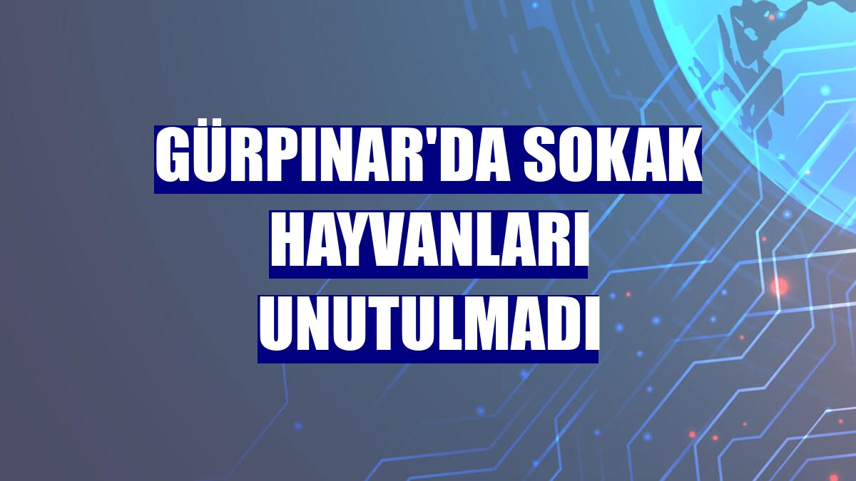 Gürpınar'da sokak hayvanları unutulmadı