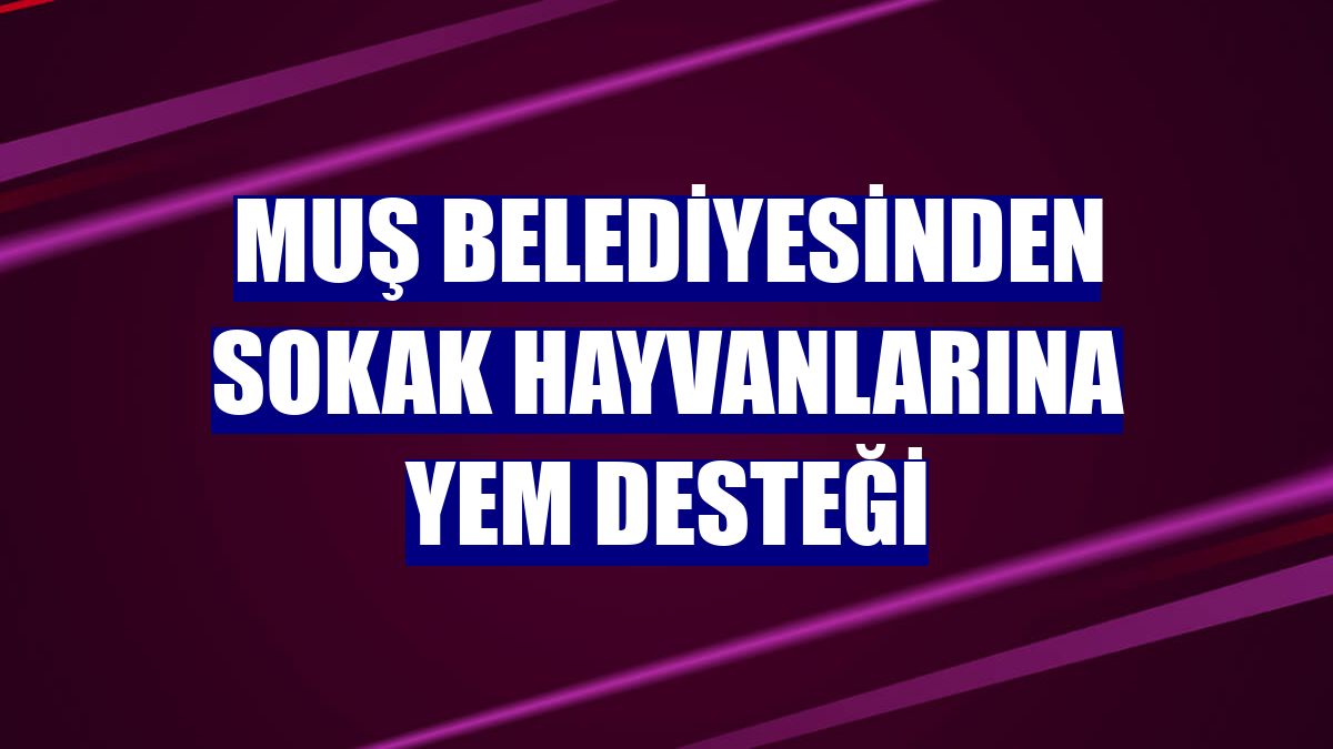 Muş Belediyesinden sokak hayvanlarına yem desteği