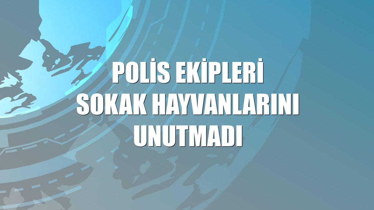 Polis ekipleri sokak hayvanlarını unutmadı