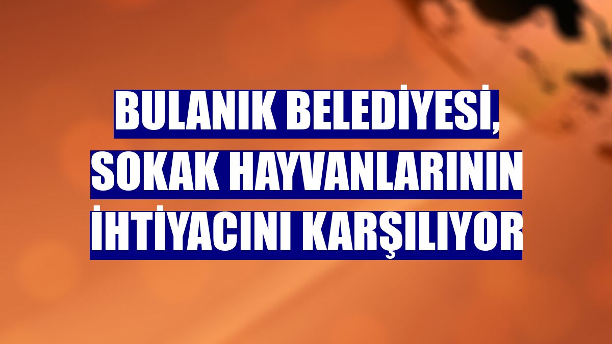 Bulanık Belediyesi, sokak hayvanlarının ihtiyacını karşılıyor