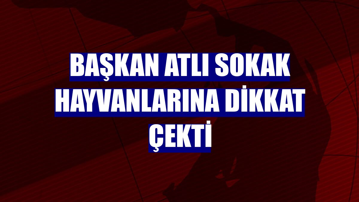 Başkan Atlı Sokak hayvanlarına dikkat çekti