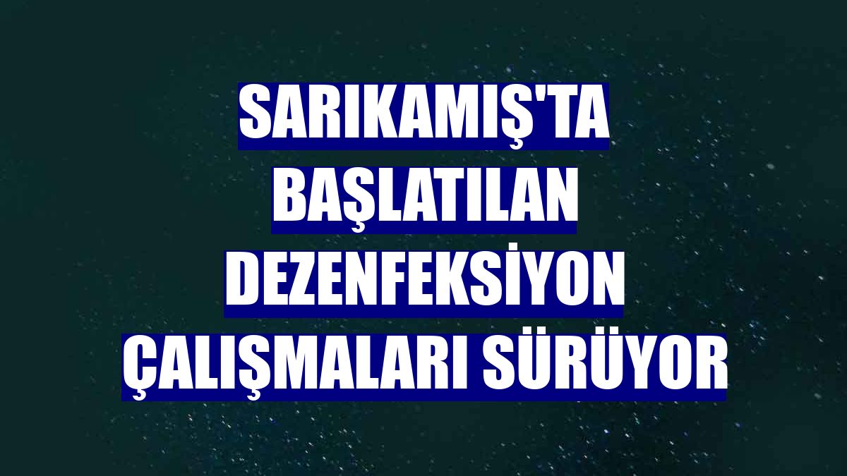 Sarıkamış'ta başlatılan dezenfeksiyon çalışmaları sürüyor