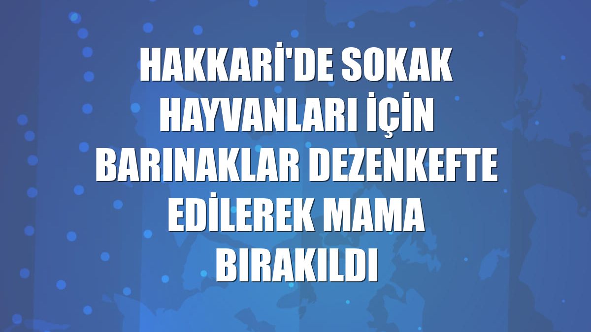 Hakkari'de sokak hayvanları için barınaklar dezenkefte edilerek mama bırakıldı