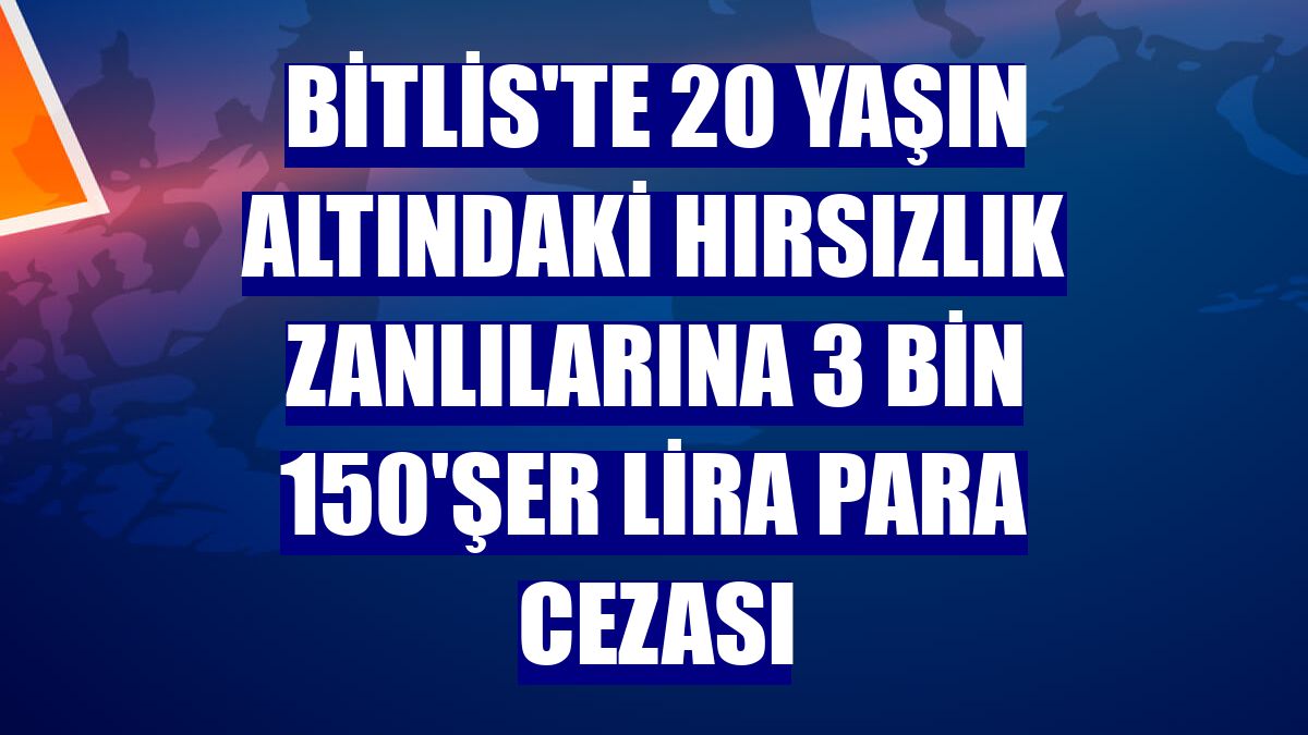Bitlis'te 20 yaşın altındaki hırsızlık zanlılarına 3 bin 150'şer lira para cezası