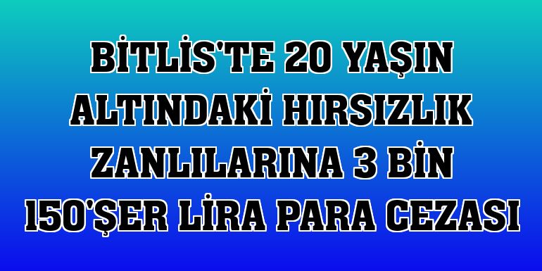 Bitlis'te 20 yaşın altındaki hırsızlık zanlılarına 3 bin 150'şer lira para cezası
