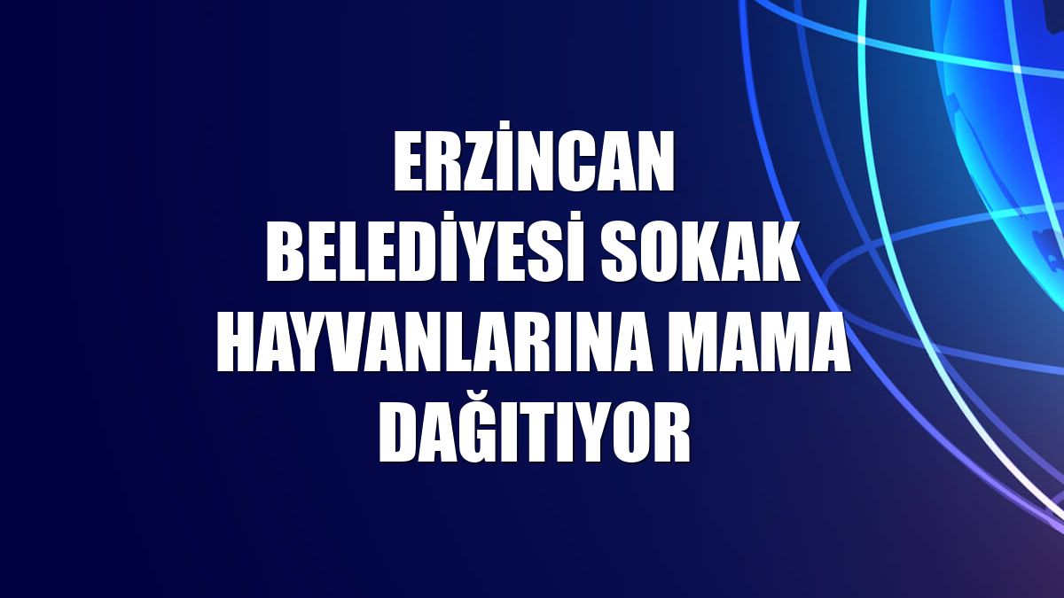 Erzincan Belediyesi sokak hayvanlarına mama dağıtıyor