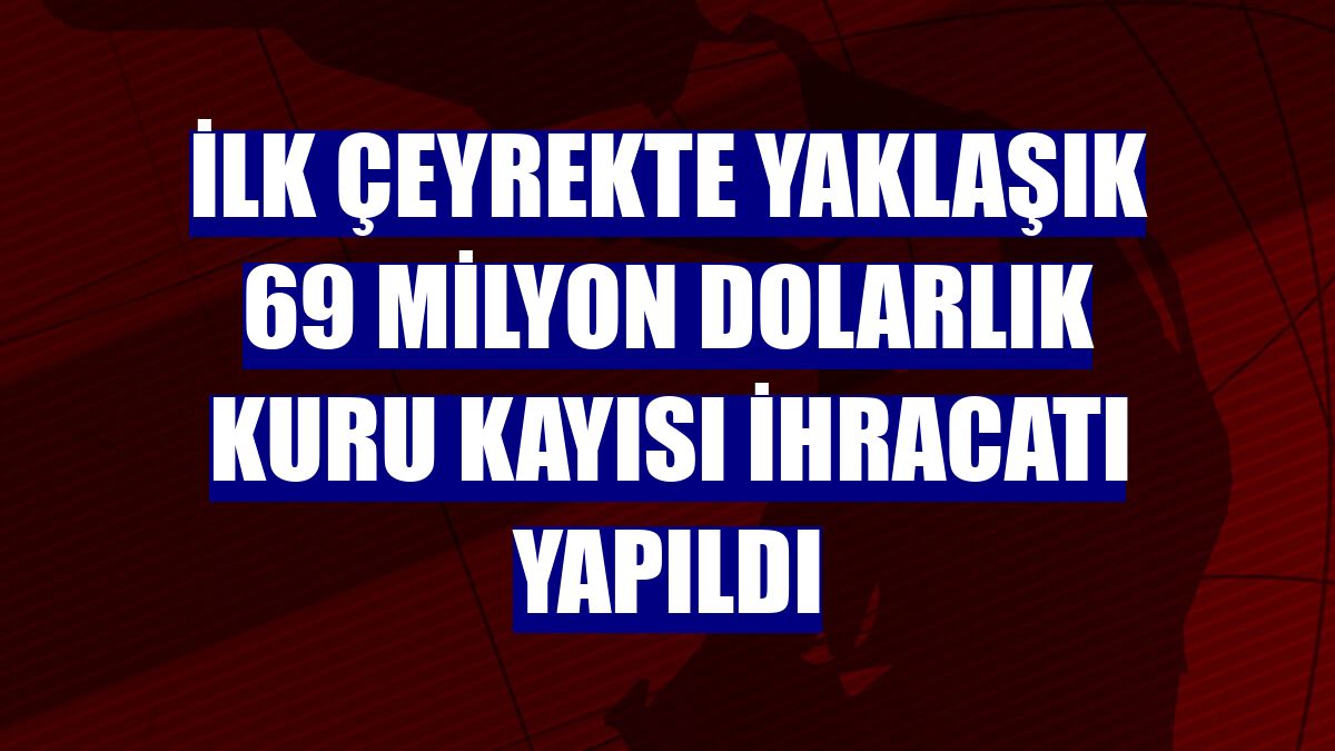 İlk çeyrekte yaklaşık 69 milyon dolarlık kuru kayısı ihracatı yapıldı