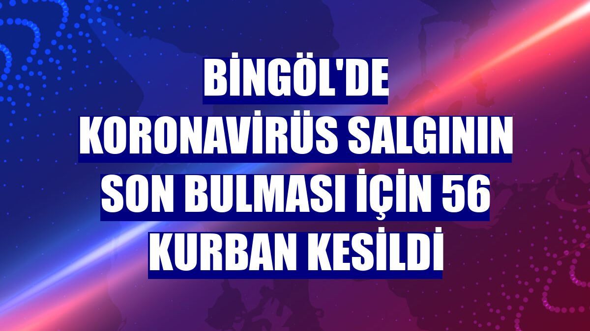 Bingöl'de koronavirüs salgının son bulması için 56 kurban kesildi