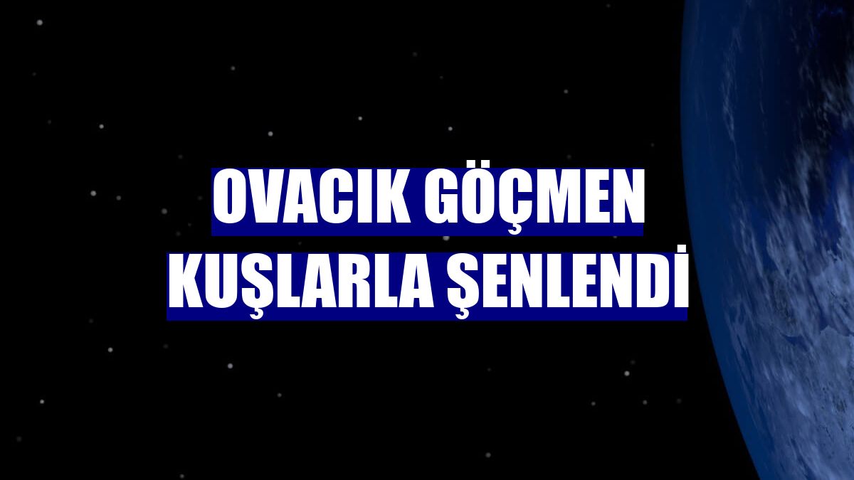 Ovacık göçmen kuşlarla şenlendi