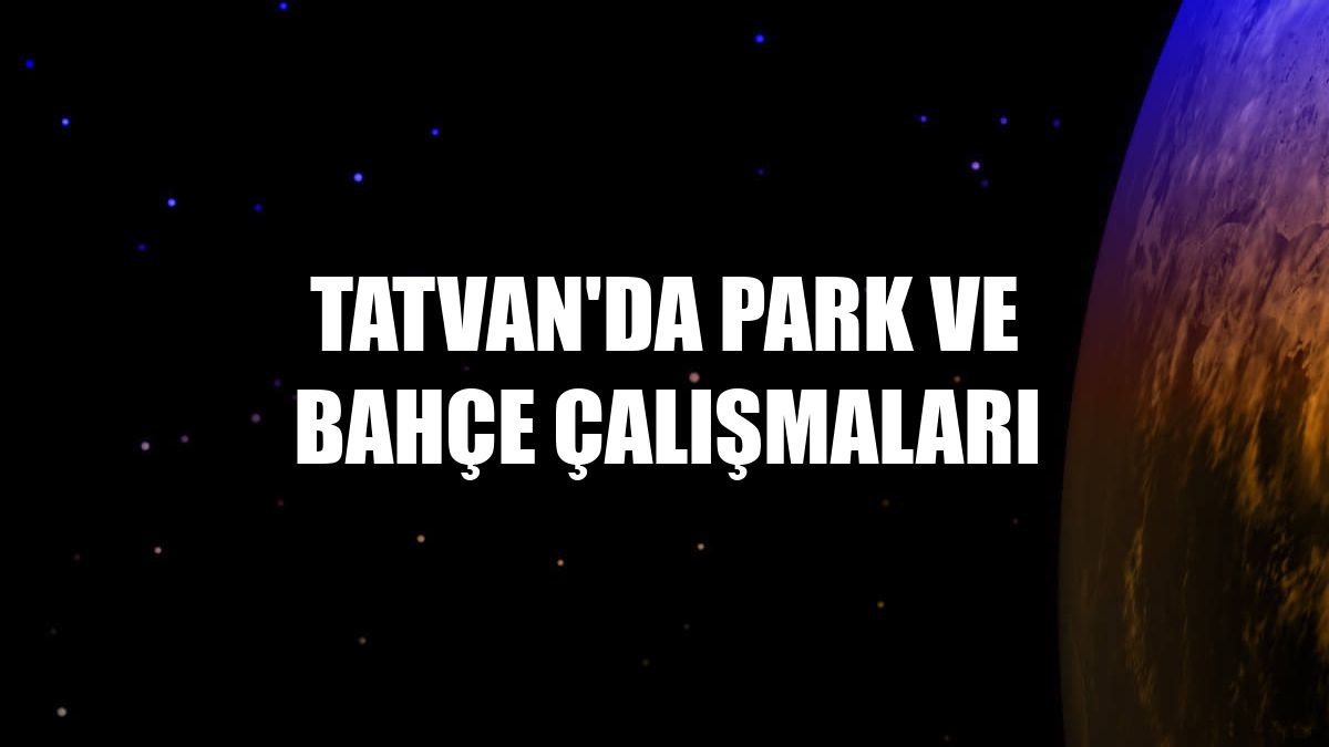Tatvan'da park ve bahçe çalışmaları
