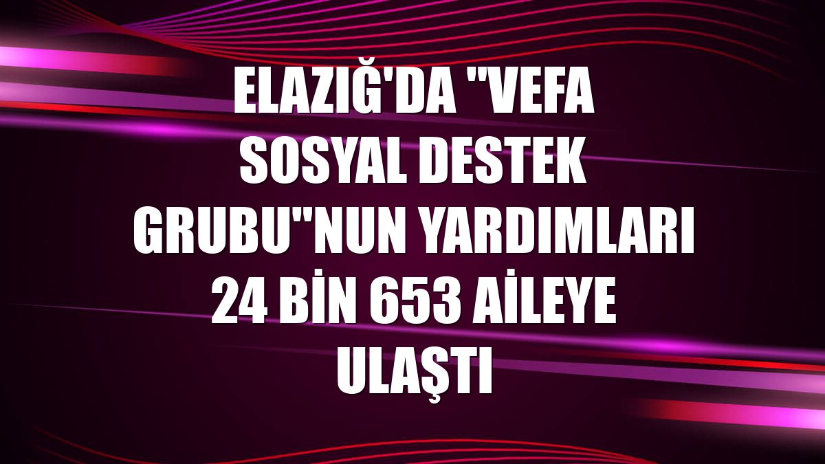Elazığ'da "Vefa Sosyal Destek Grubu"nun yardımları 24 bin 653 aileye ulaştı