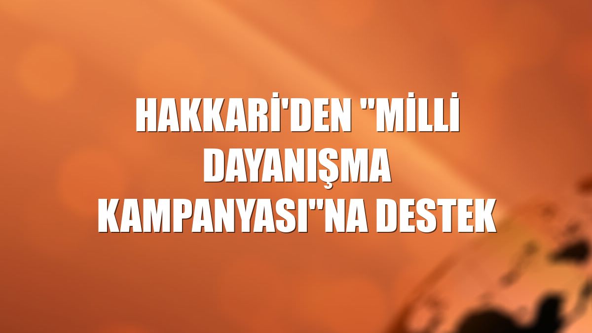 Hakkari'den "Milli Dayanışma Kampanyası"na destek