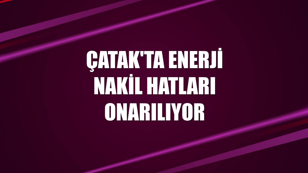 Çatak'ta enerji nakil hatları onarılıyor