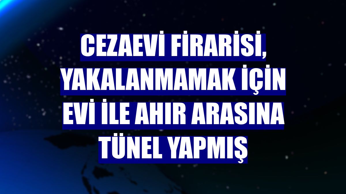 Cezaevi firarisi, yakalanmamak için evi ile ahır arasına tünel yapmış