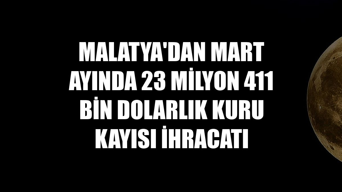Malatya'dan mart ayında 23 milyon 411 bin dolarlık kuru kayısı ihracatı