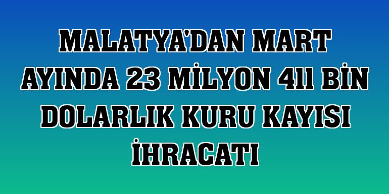Malatya'dan mart ayında 23 milyon 411 bin dolarlık kuru kayısı ihracatı