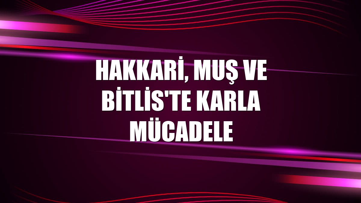 Hakkari, Muş ve Bitlis'te karla mücadele