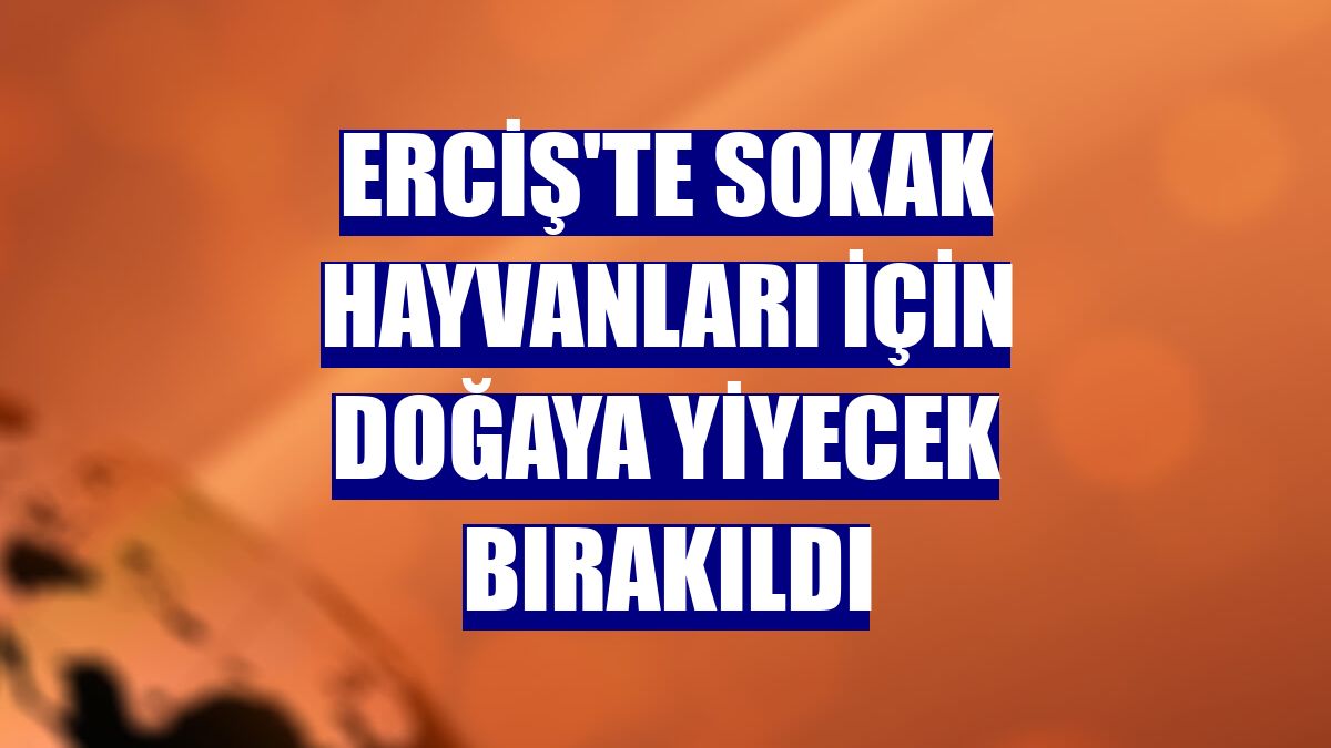 Erciş'te sokak hayvanları için doğaya yiyecek bırakıldı