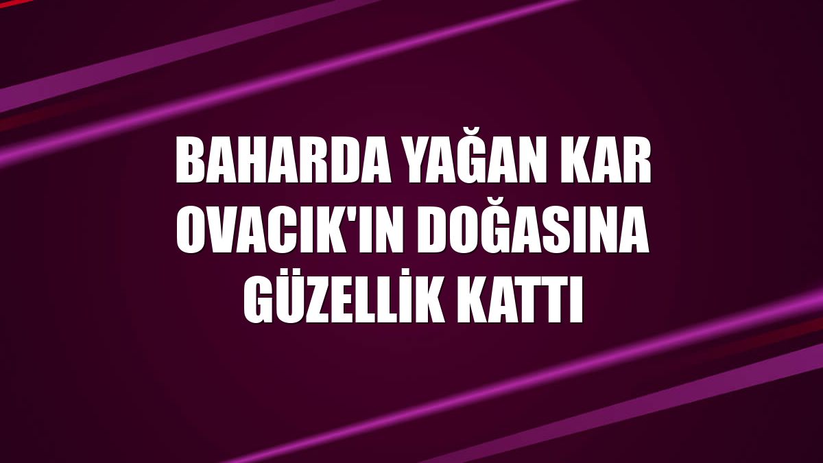 Baharda yağan kar Ovacık'ın doğasına güzellik kattı
