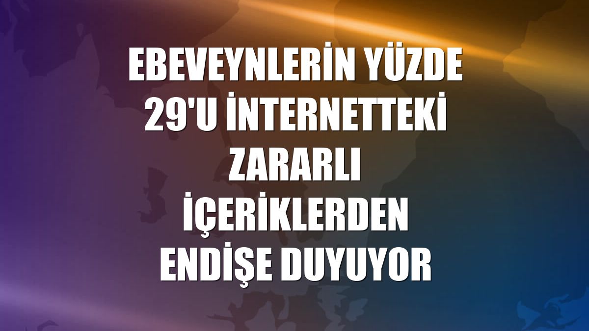 Ebeveynlerin yüzde 29'u internetteki zararlı içeriklerden endişe duyuyor