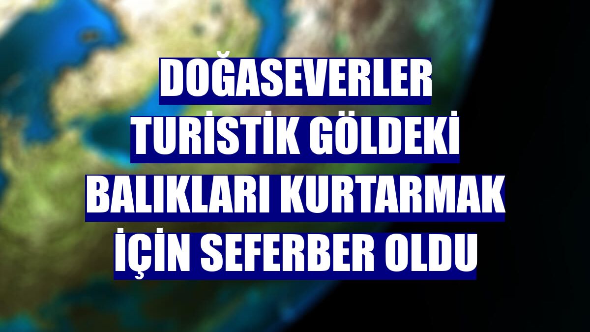 Doğaseverler turistik göldeki balıkları kurtarmak için seferber oldu