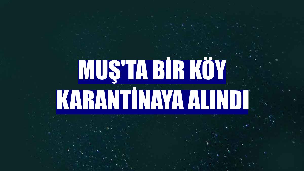 Muş'ta bir köy karantinaya alındı